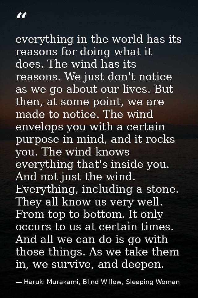 everything in the world has its reasons for doing what it does. The wind has its reasons. We just don't notice as we go  — Haruki Murakami, Blind Willow, Sleeping Woman