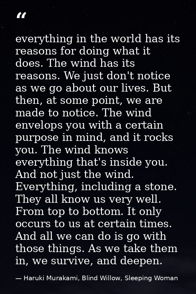 everything in the world has its reasons for doing what it does. The wind has its reasons. We just don't notice as we go  — Haruki Murakami, Blind Willow, Sleeping Woman