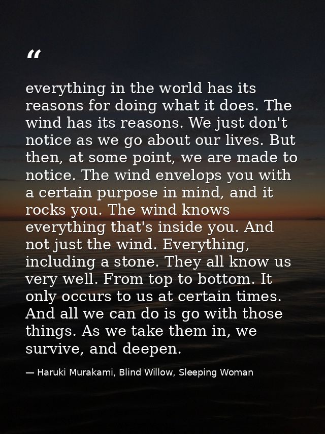 everything in the world has its reasons for doing what it does. The wind has its reasons. We just don't notice as we go  — Haruki Murakami, Blind Willow, Sleeping Woman