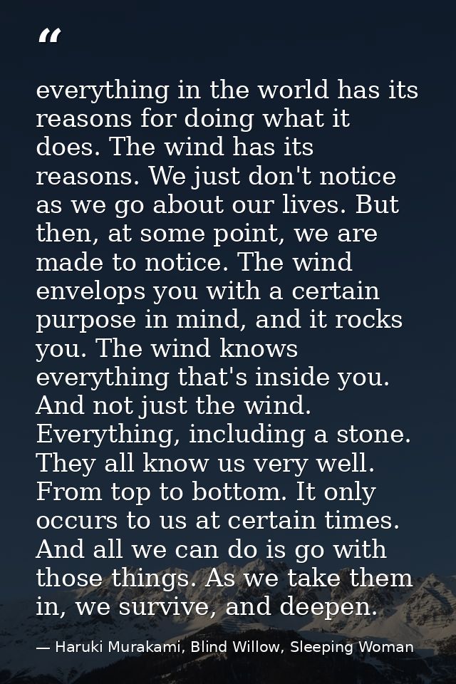 everything in the world has its reasons for doing what it does. The wind has its reasons. We just don't notice as we go  — Haruki Murakami, Blind Willow, Sleeping Woman