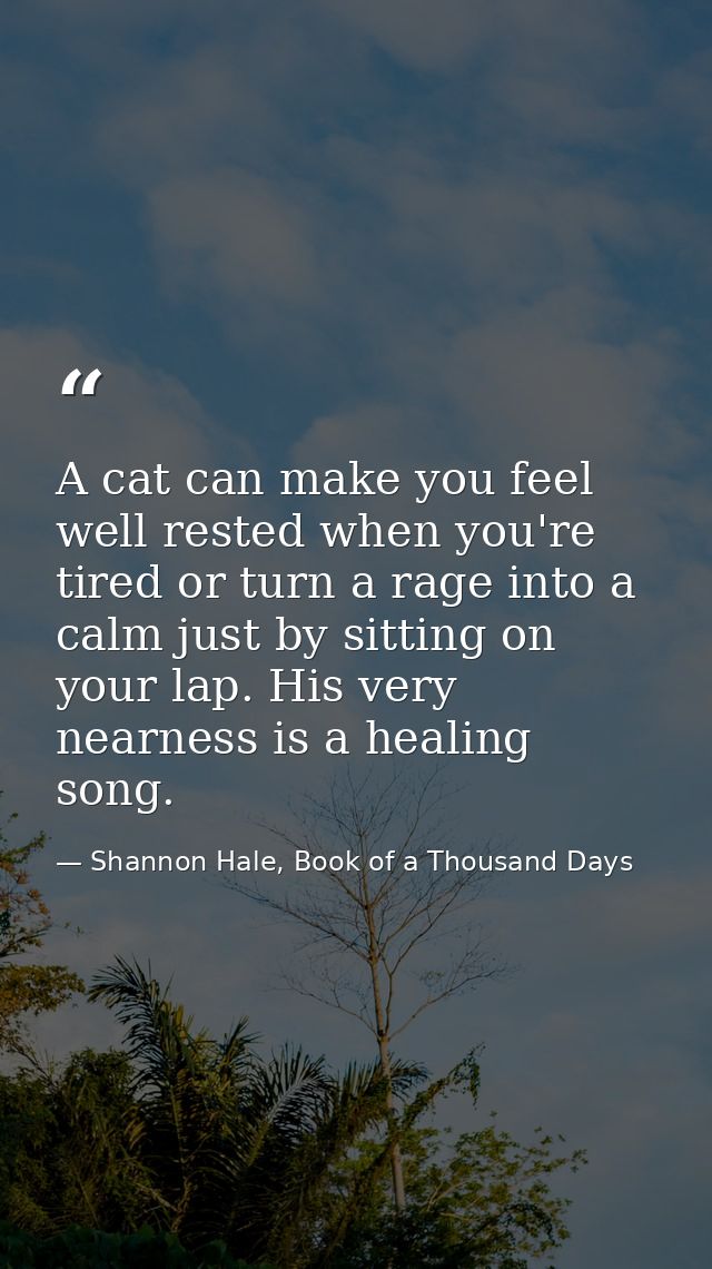 A cat can make you feel well rested when you're tired or turn a rage into a calm just by sitting on your lap. His very n — Shannon Hale, Book of a Thousand Days