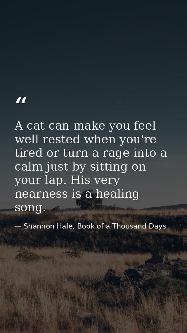 A cat can make you feel well rested when you're tired or turn a rage into a calm just by sitting on your lap. His very n — Shannon Hale, Book of a Thousand Days