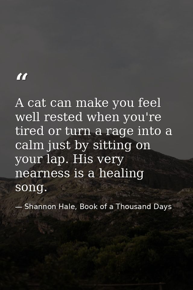 A cat can make you feel well rested when you're tired or turn a rage into a calm just by sitting on your lap. His very n — Shannon Hale, Book of a Thousand Days