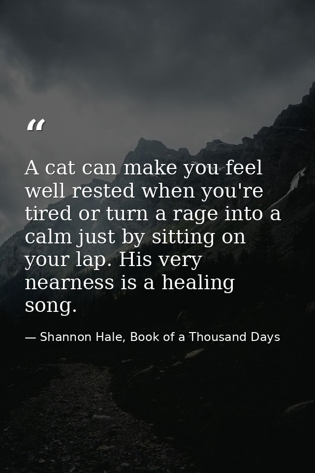 A cat can make you feel well rested when you're tired or turn a rage into a calm just by sitting on your lap. His very n — Shannon Hale, Book of a Thousand Days