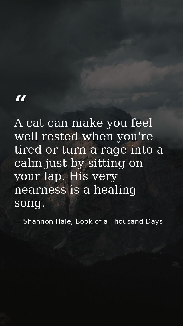 A cat can make you feel well rested when you're tired or turn a rage into a calm just by sitting on your lap. His very n — Shannon Hale, Book of a Thousand Days