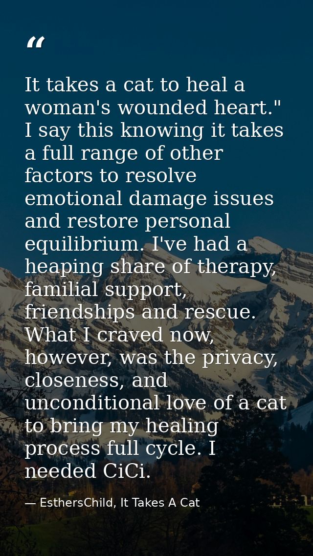It takes a cat to heal a woman's wounded heart." I say this knowing it takes a full range of other factors to resolve em — EsthersChild, It Takes A Cat