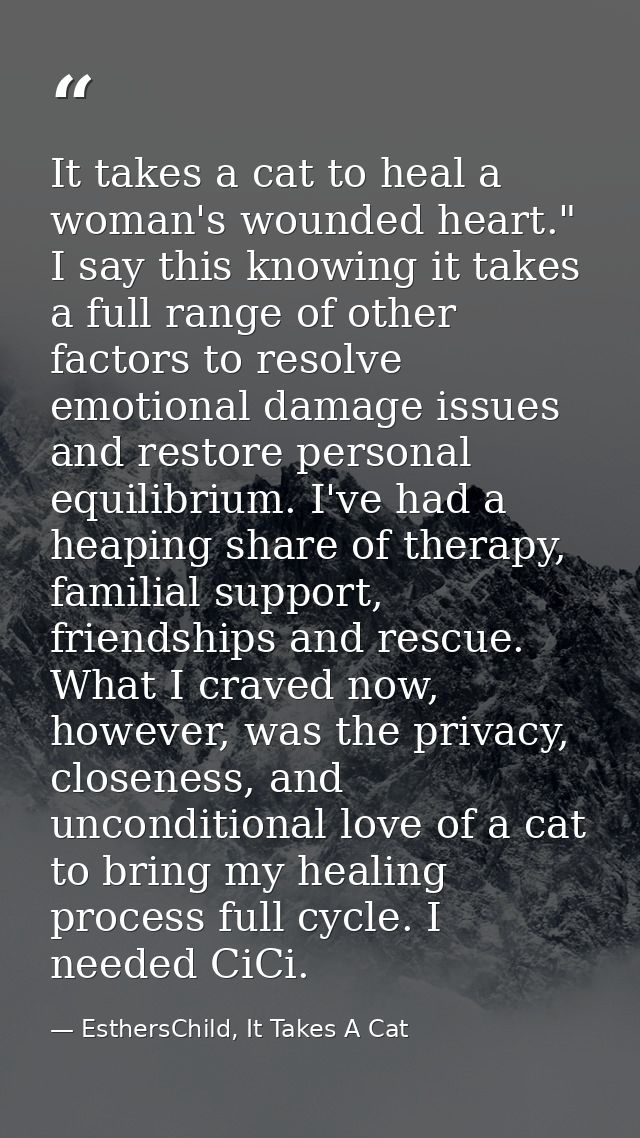 It takes a cat to heal a woman's wounded heart." I say this knowing it takes a full range of other factors to resolve em — EsthersChild, It Takes A Cat