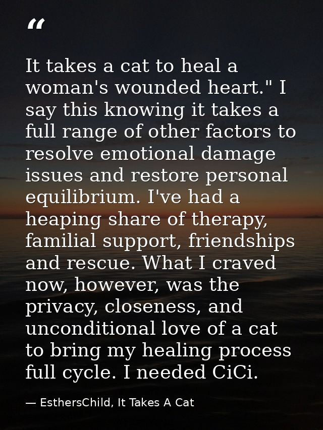 It takes a cat to heal a woman's wounded heart." I say this knowing it takes a full range of other factors to resolve em — EsthersChild, It Takes A Cat