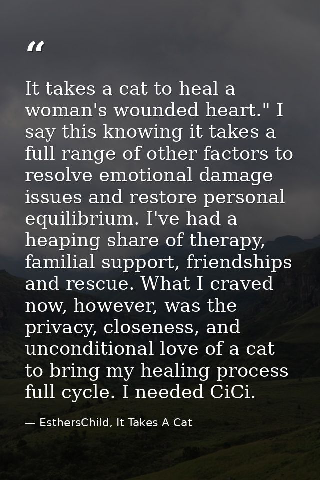 It takes a cat to heal a woman's wounded heart." I say this knowing it takes a full range of other factors to resolve em — EsthersChild, It Takes A Cat