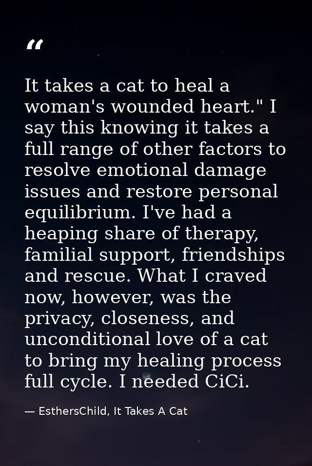 It takes a cat to heal a woman's wounded heart." I say this knowing it takes a full range of other factors to resolve em — EsthersChild, It Takes A Cat