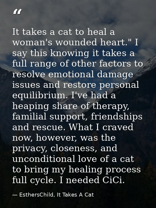 It takes a cat to heal a woman's wounded heart." I say this knowing it takes a full range of other factors to resolve em — EsthersChild, It Takes A Cat