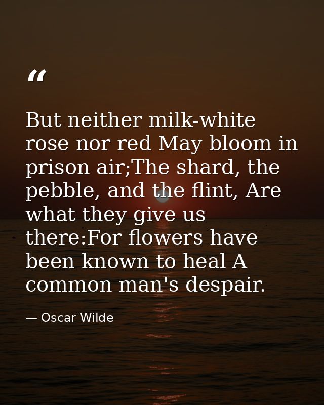 But neither milk-white rose nor red May bloom in prison air;The shard, the pebble, and the flint, Are what they give us  — Oscar Wilde