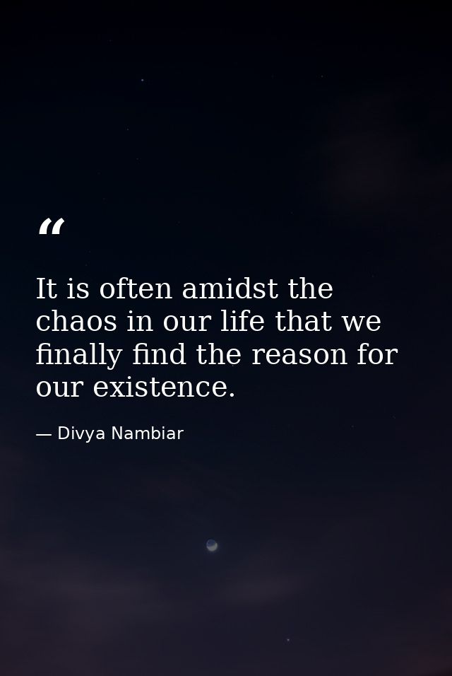 It is often amidst the chaos in our life that we finally find the reason for our existence. — Divya Nambiar