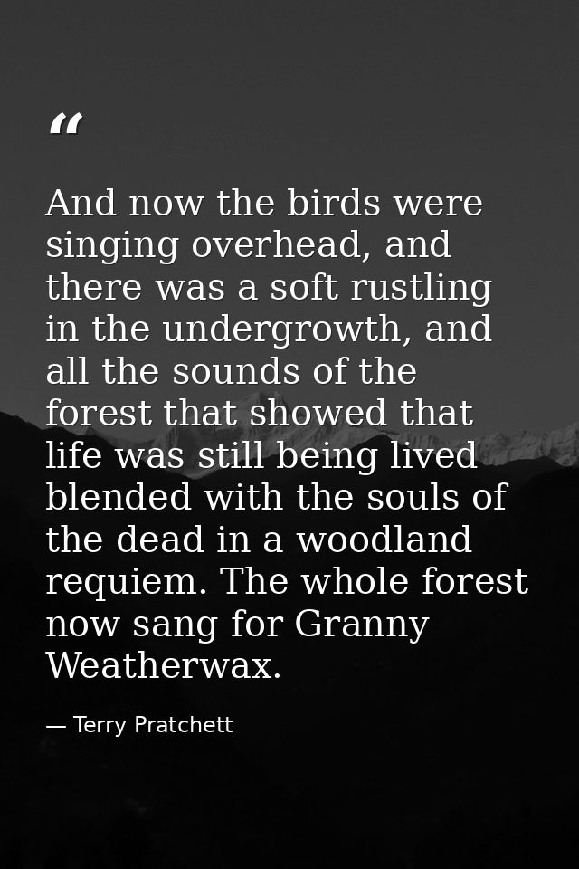 And now the birds were singing overhead, and there was a soft rustling in the undergrowth, and all the sounds of the for — Terry Pratchett