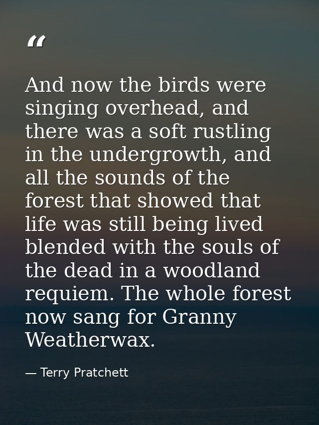 And now the birds were singing overhead, and there was a soft rustling in the undergrowth, and all the sounds of the for — Terry Pratchett
