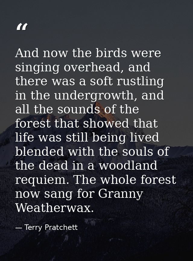 And now the birds were singing overhead, and there was a soft rustling in the undergrowth, and all the sounds of the for — Terry Pratchett