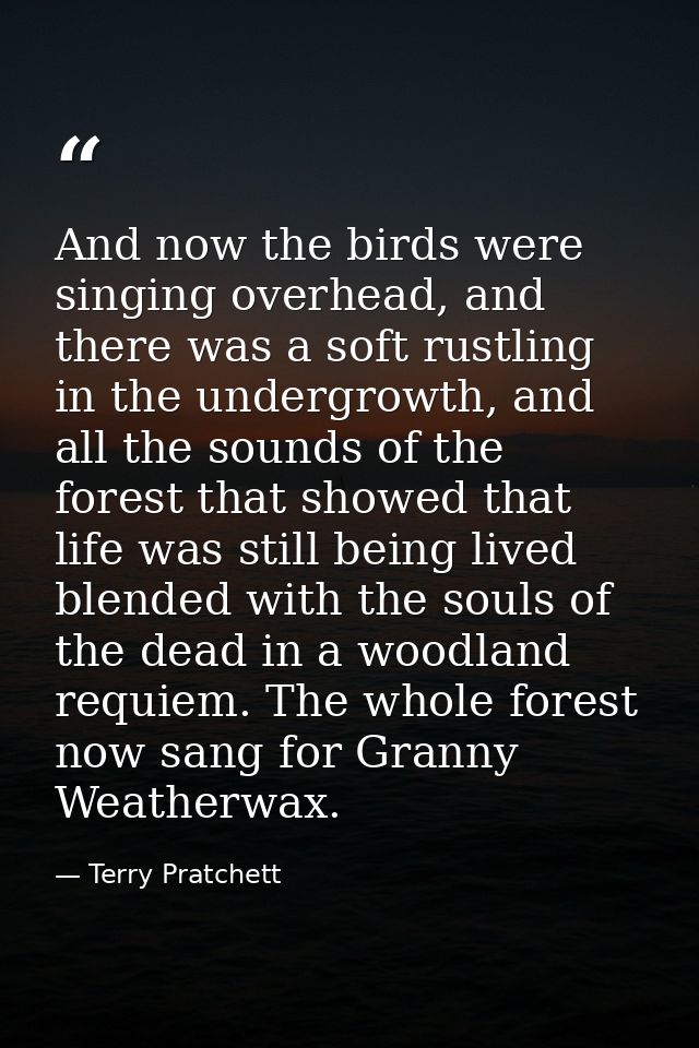 And now the birds were singing overhead, and there was a soft rustling in the undergrowth, and all the sounds of the for — Terry Pratchett