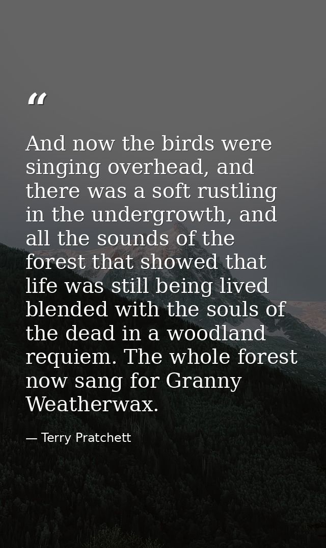 And now the birds were singing overhead, and there was a soft rustling in the undergrowth, and all the sounds of the for — Terry Pratchett