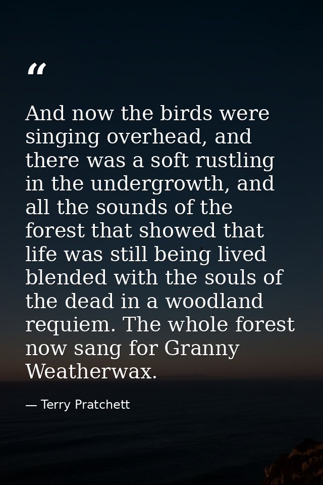 And now the birds were singing overhead, and there was a soft rustling in the undergrowth, and all the sounds of the for — Terry Pratchett