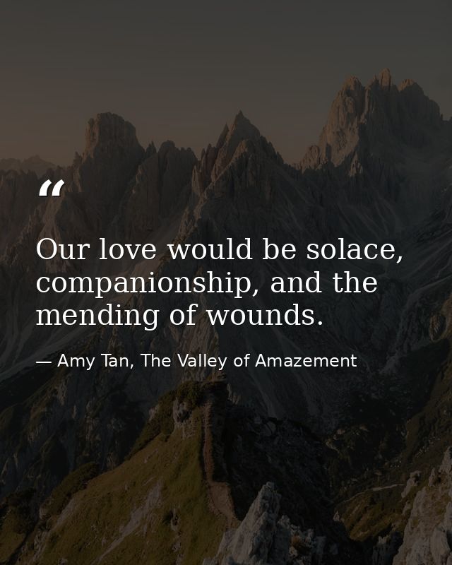 Our love would be solace, companionship, and the mending of wounds. — Amy Tan, The Valley of Amazement