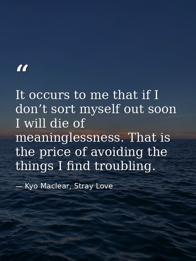It occurs to me that if I don’t sort myself out soon I will die of meaninglessness. That is the price of avoiding the th — Kyo Maclear, Stray Love