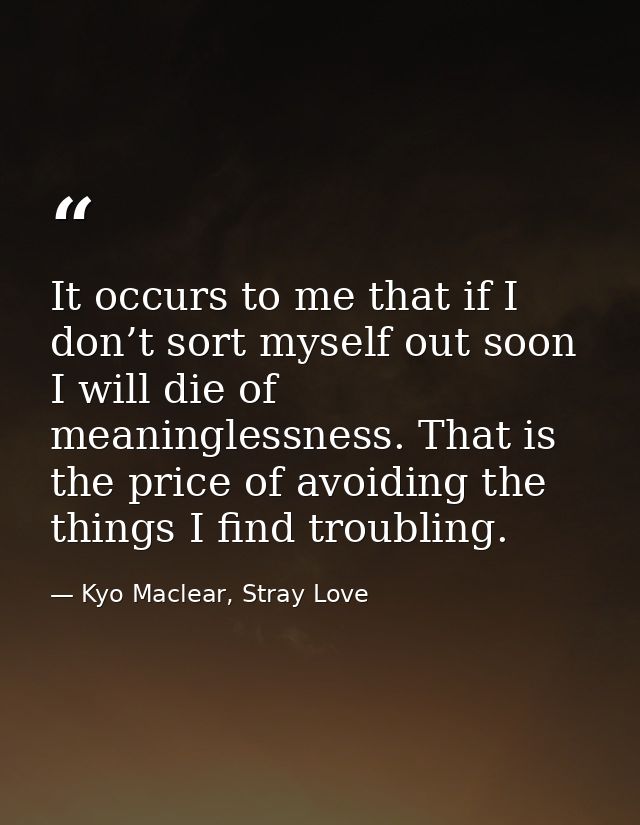 It occurs to me that if I don’t sort myself out soon I will die of meaninglessness. That is the price of avoiding the th — Kyo Maclear, Stray Love