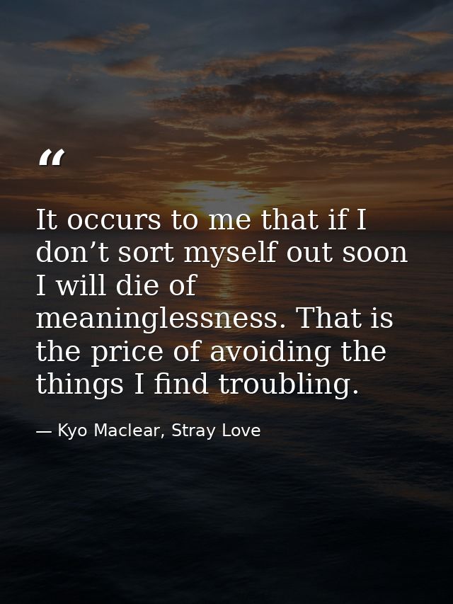 It occurs to me that if I don’t sort myself out soon I will die of meaninglessness. That is the price of avoiding the th — Kyo Maclear, Stray Love