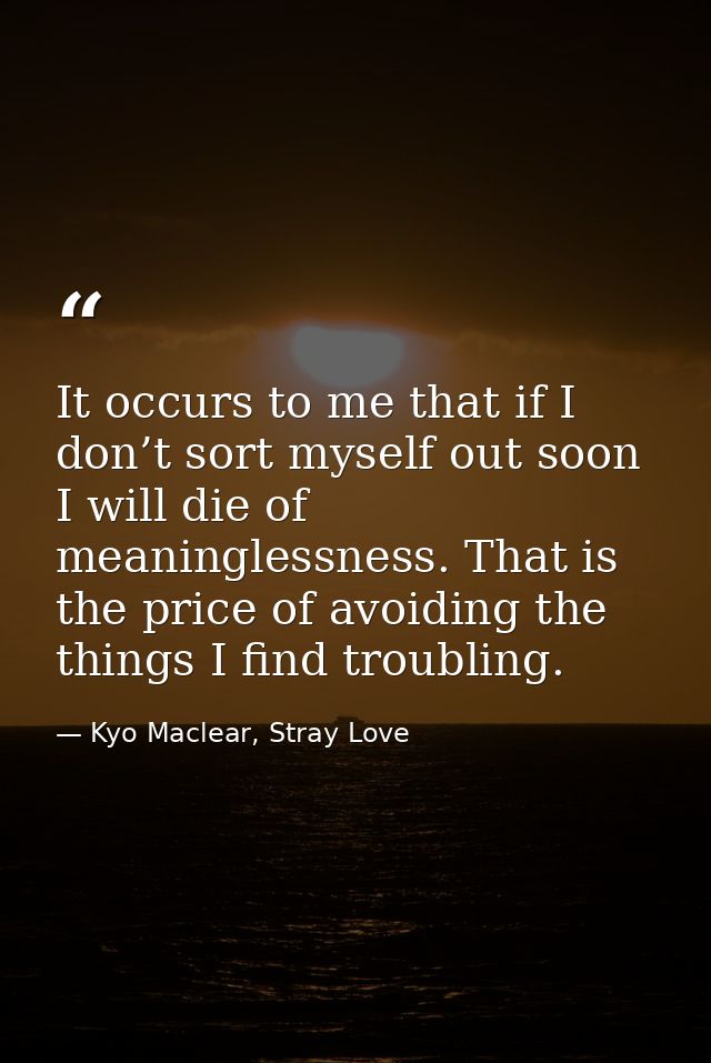 It occurs to me that if I don’t sort myself out soon I will die of meaninglessness. That is the price of avoiding the th — Kyo Maclear, Stray Love
