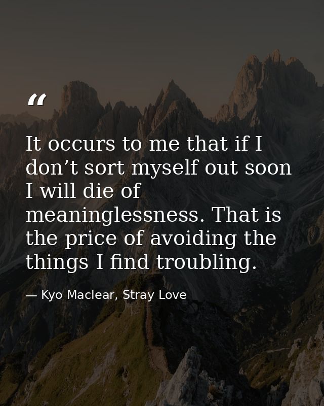 It occurs to me that if I don’t sort myself out soon I will die of meaninglessness. That is the price of avoiding the th — Kyo Maclear, Stray Love