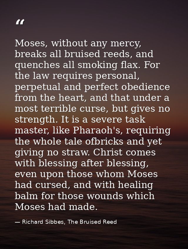 Moses, without any mercy, breaks all bruised reeds, and quenches all smoking flax. For the law requires personal, perpet — Richard Sibbes, The Bruised Reed