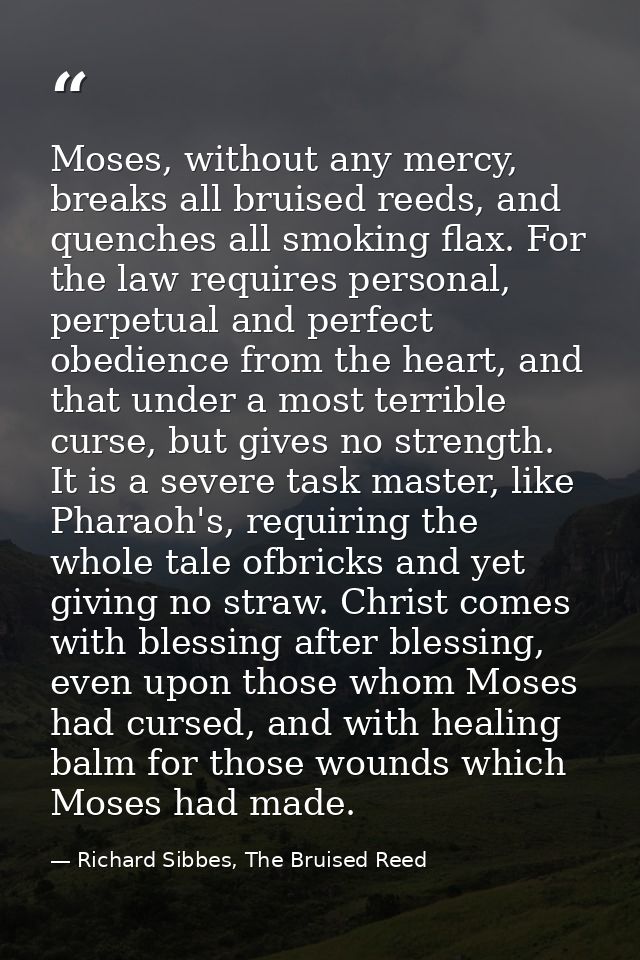 Moses, without any mercy, breaks all bruised reeds, and quenches all smoking flax. For the law requires personal, perpet — Richard Sibbes, The Bruised Reed