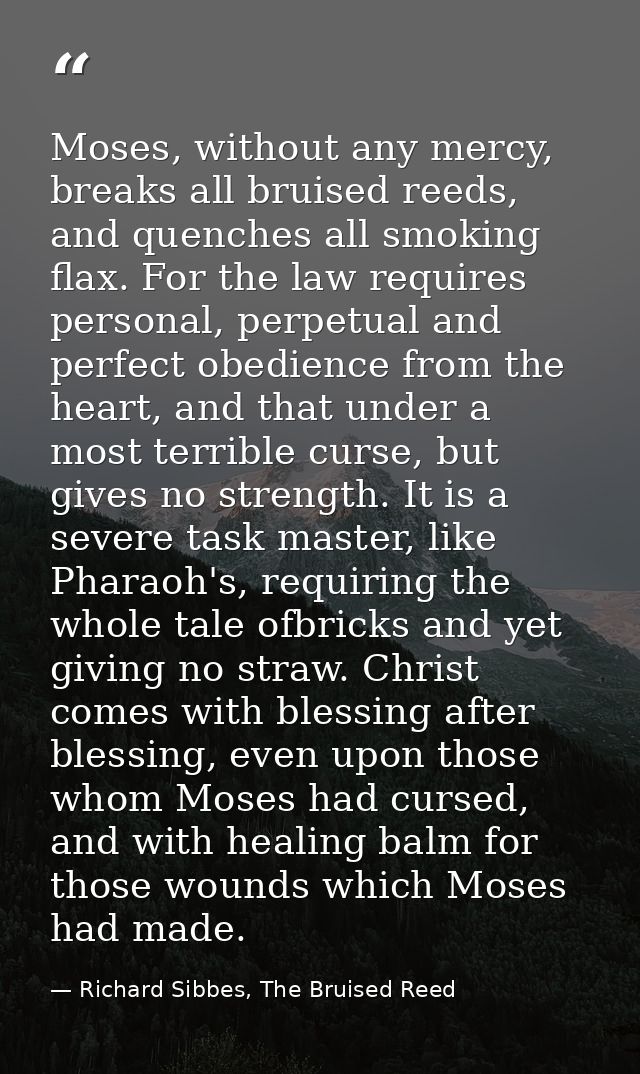 Moses, without any mercy, breaks all bruised reeds, and quenches all smoking flax. For the law requires personal, perpet — Richard Sibbes, The Bruised Reed