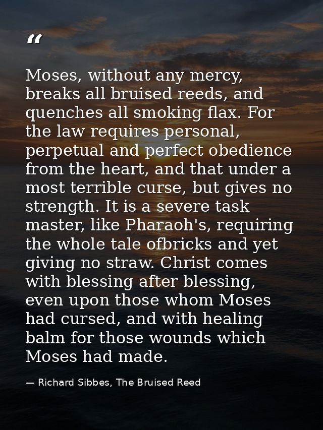 Moses, without any mercy, breaks all bruised reeds, and quenches all smoking flax. For the law requires personal, perpet — Richard Sibbes, The Bruised Reed