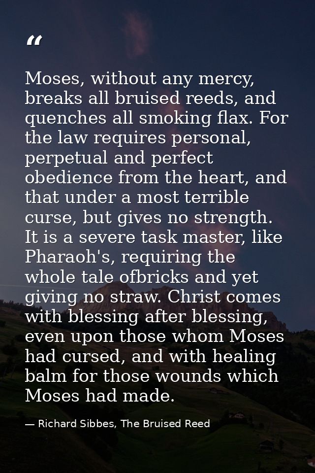 Moses, without any mercy, breaks all bruised reeds, and quenches all smoking flax. For the law requires personal, perpet — Richard Sibbes, The Bruised Reed