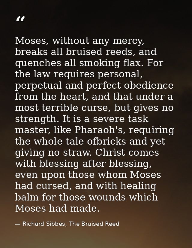 Moses, without any mercy, breaks all bruised reeds, and quenches all smoking flax. For the law requires personal, perpet — Richard Sibbes, The Bruised Reed