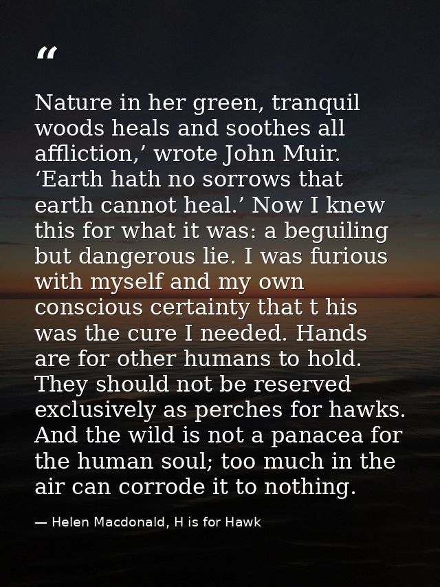 Nature in her green, tranquil woods heals and soothes all affliction,’ wrote John Muir. ‘Earth hath no sorrows that eart — Helen Macdonald, H is for Hawk