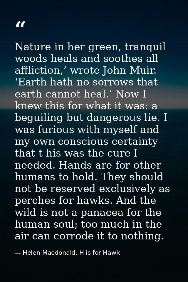 Nature in her green, tranquil woods heals and soothes all affliction,’ wrote John Muir. ‘Earth hath no sorrows that eart — Helen Macdonald, H is for Hawk