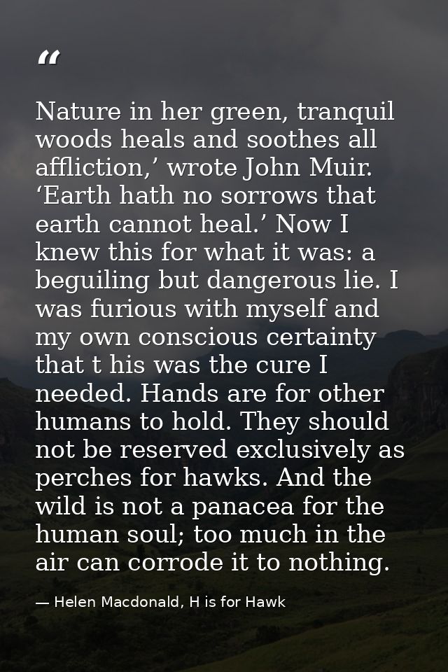 Nature in her green, tranquil woods heals and soothes all affliction,’ wrote John Muir. ‘Earth hath no sorrows that eart — Helen Macdonald, H is for Hawk