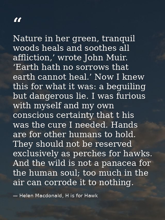 Nature in her green, tranquil woods heals and soothes all affliction,’ wrote John Muir. ‘Earth hath no sorrows that eart — Helen Macdonald, H is for Hawk
