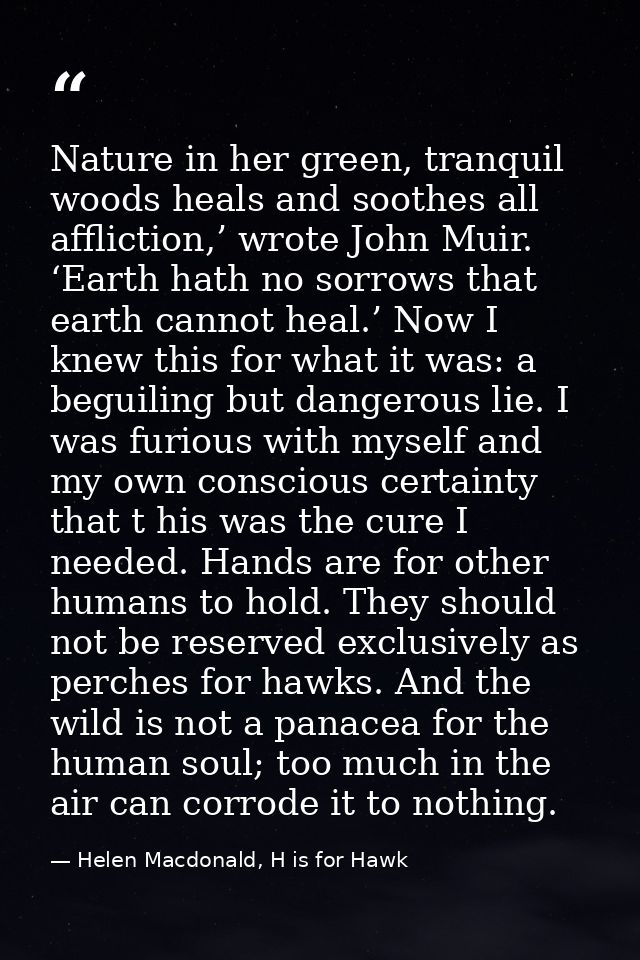 Nature in her green, tranquil woods heals and soothes all affliction,’ wrote John Muir. ‘Earth hath no sorrows that eart — Helen Macdonald, H is for Hawk