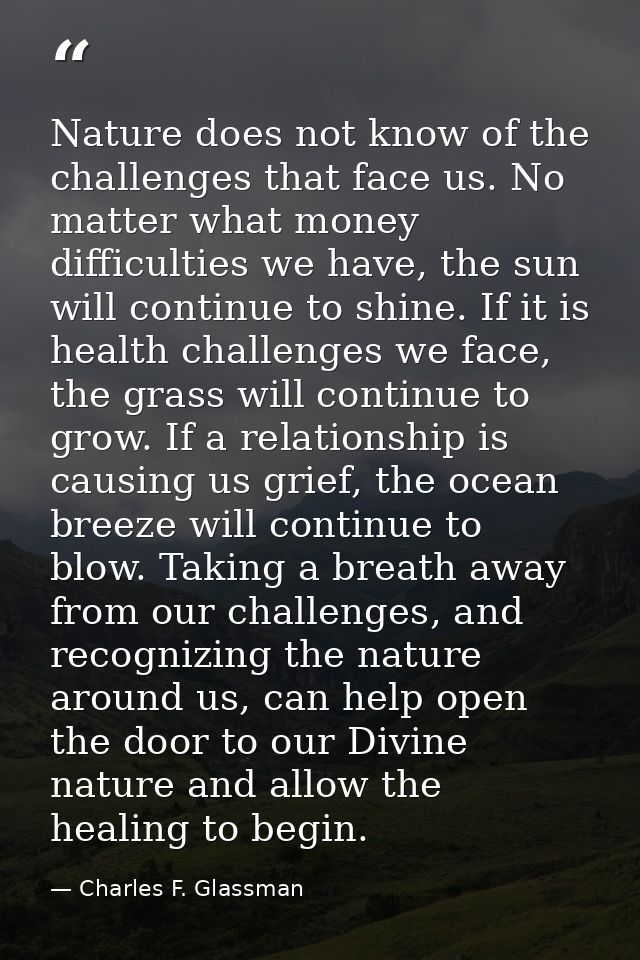 Nature does not know of the challenges that face us. No matter what money difficulties we have, the sun will continue to — Charles F. Glassman