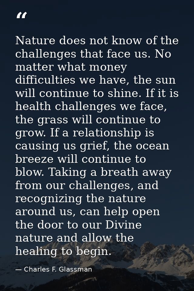 Nature does not know of the challenges that face us. No matter what money difficulties we have, the sun will continue to — Charles F. Glassman