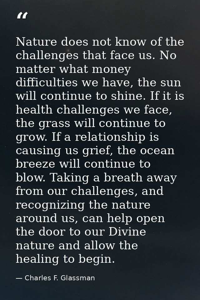 Nature does not know of the challenges that face us. No matter what money difficulties we have, the sun will continue to — Charles F. Glassman