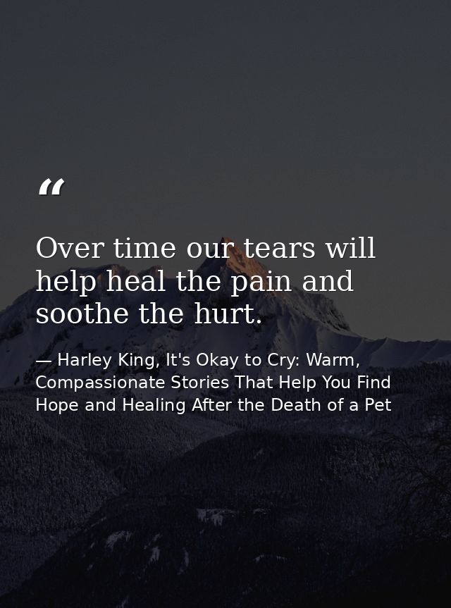 Over time our tears will help heal the pain and soothe the hurt. — Harley King, It's Okay to Cry: Warm, Compassionate Stories That Help You Find Hope and Healing After the Death of a Pet