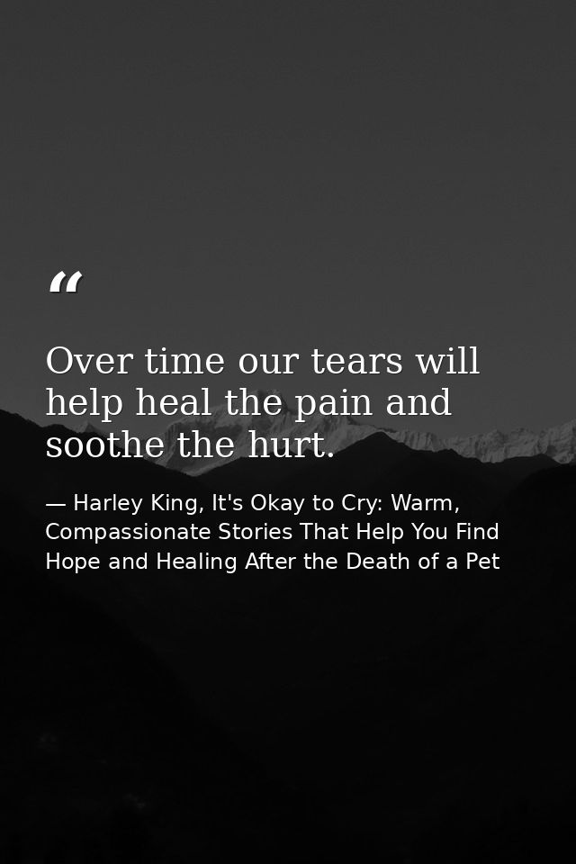 Over time our tears will help heal the pain and soothe the hurt. — Harley King, It's Okay to Cry: Warm, Compassionate Stories That Help You Find Hope and Healing After the Death of a Pet