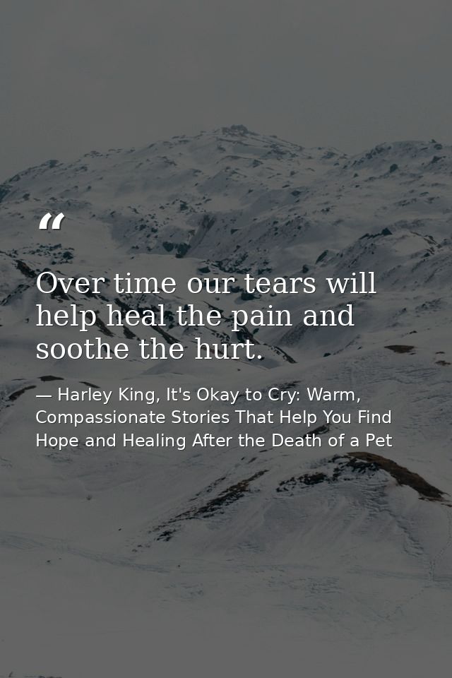 Over time our tears will help heal the pain and soothe the hurt. — Harley King, It's Okay to Cry: Warm, Compassionate Stories That Help You Find Hope and Healing After the Death of a Pet