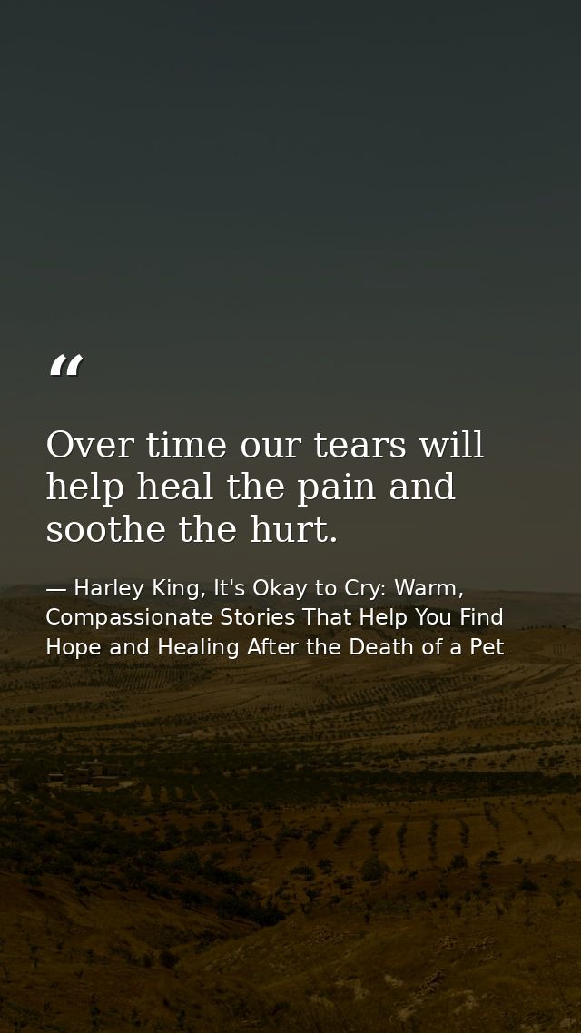 Over time our tears will help heal the pain and soothe the hurt. — Harley King, It's Okay to Cry: Warm, Compassionate Stories That Help You Find Hope and Healing After the Death of a Pet