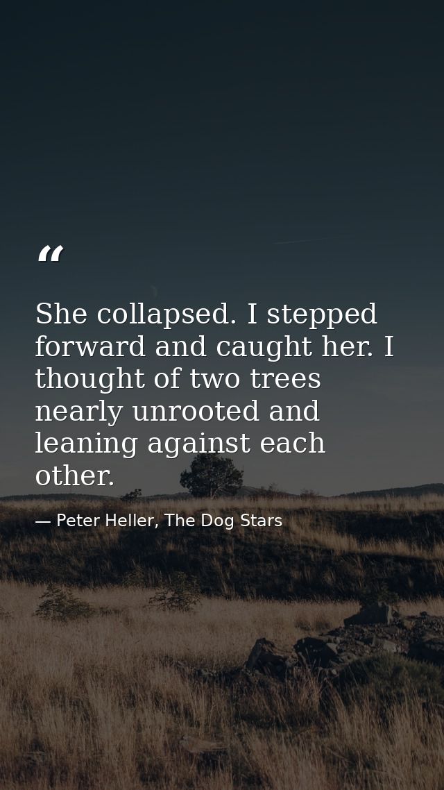 She collapsed. I stepped forward and caught her. I thought of two trees nearly unrooted and leaning against each other. — Peter Heller, The Dog Stars