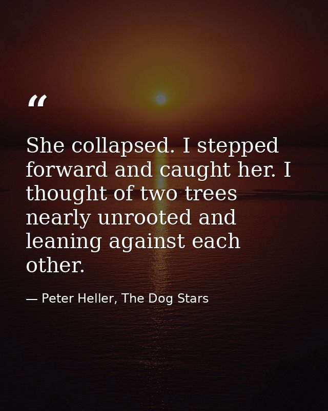She collapsed. I stepped forward and caught her. I thought of two trees nearly unrooted and leaning against each other. — Peter Heller, The Dog Stars