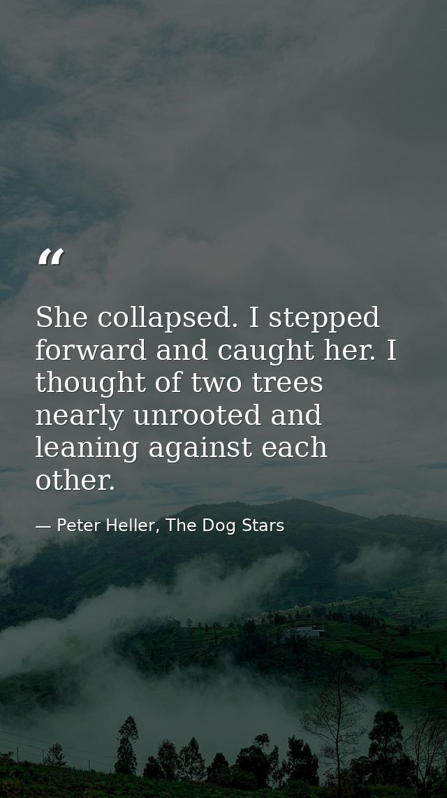 She collapsed. I stepped forward and caught her. I thought of two trees nearly unrooted and leaning against each other. — Peter Heller, The Dog Stars